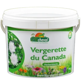 Canada fleabane - Organic - 1 Kg