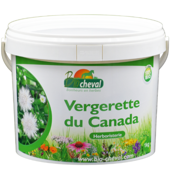 Vergerette du Canada - Bio - 1 Kg