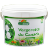 Fleabane del Canada - Biologico - 1 Kg