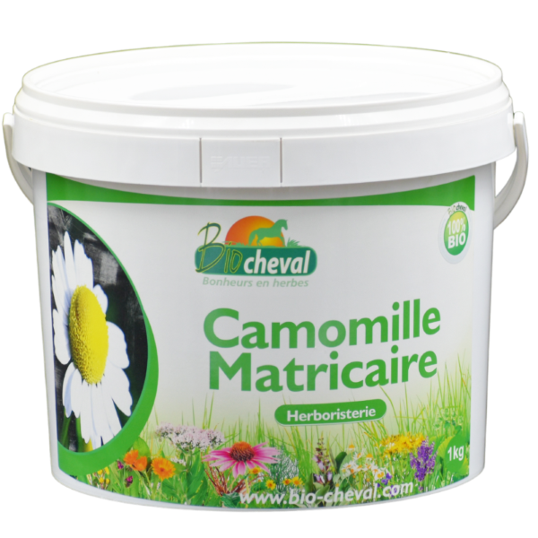 Camomille matricaire - Relaxation et digestion