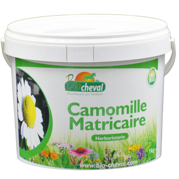 Scentless Orgánica 1 kg