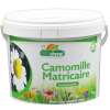 Camomille matricaire - Bio - Relaxation et digestion