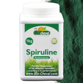 Spirulina-Pulver, eine Fülle von Nährstoffen für Equiden.