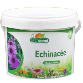 Echinacea - Bio - Immunitás, bőr, légzés - 1kg