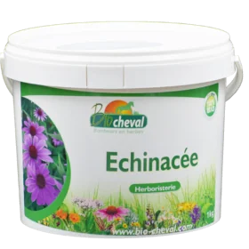 Echinacée - Bio - Immunité, Peau, Respiration - 1kg