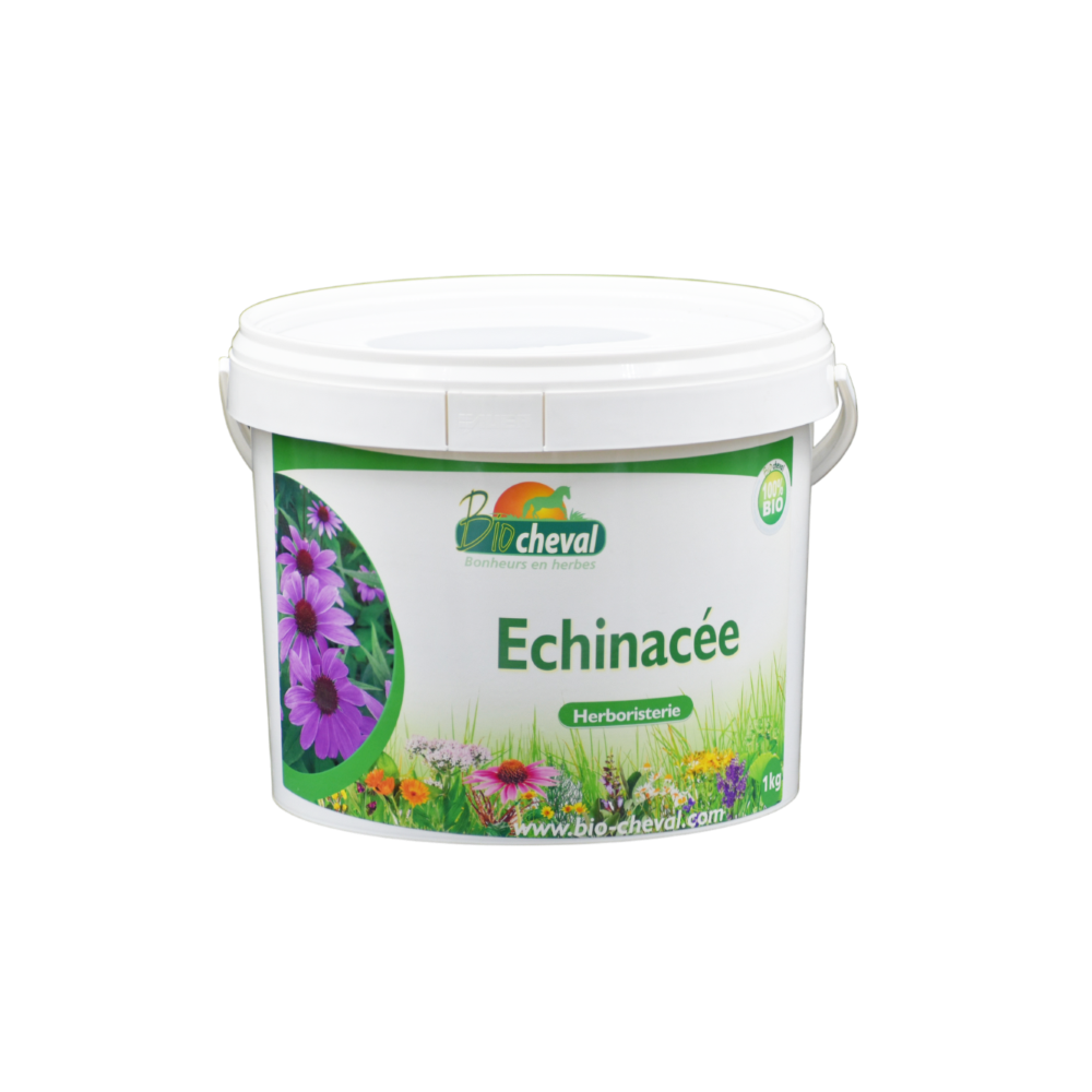 Echinacea - Bio - Immunitás, bőr, légzés - 1kg