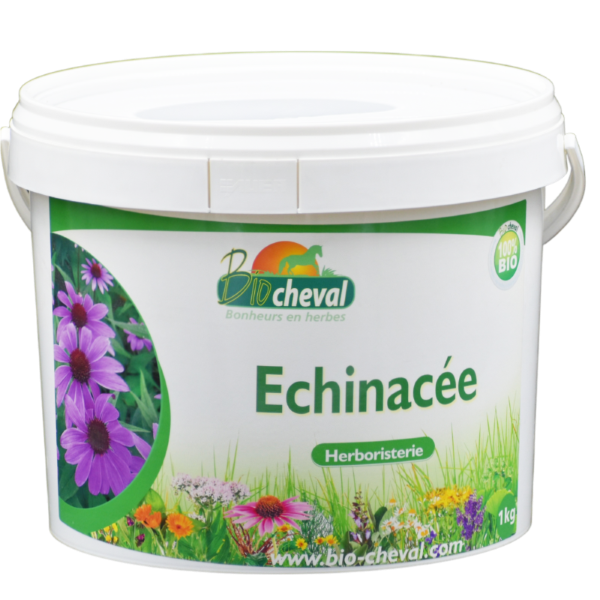 Echinacea biologica 1 kg