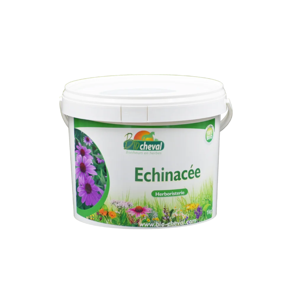 Echinacée - Bio - Immunité, Peau, Respiration - 1kg