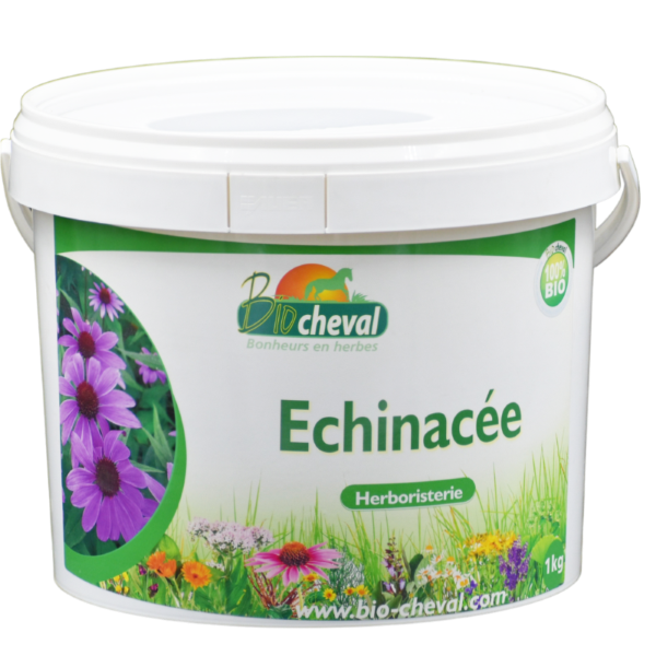 Echinacée - Bio - Immunité, Peau, Respiration - 1kg