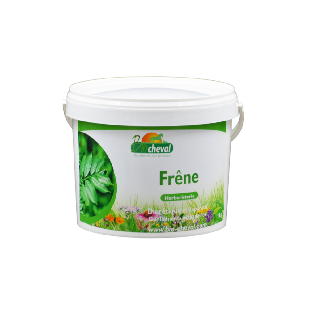 Die Esche, ein Verbündeter der Fortbewegung