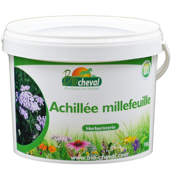 Achillea: stress e locomozione