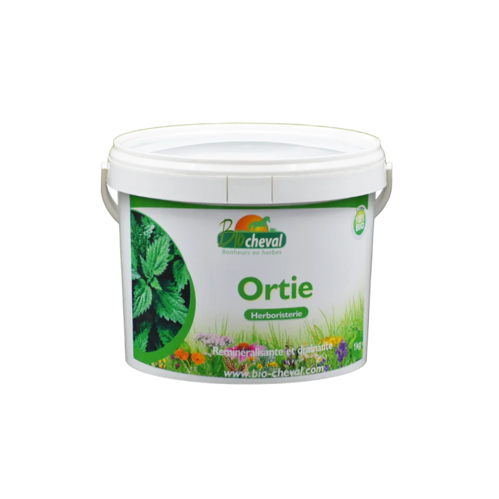 Ortie - Bio - Peau, Locomotion, Immunité - 1 Kg