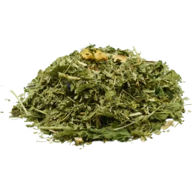 Piante medicinali per il benessere delle articolazioni: ideali per i cavalli rigidi