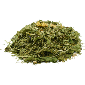 Plantas medicinales para el bienestar articular: ideales para caballos con rigidez