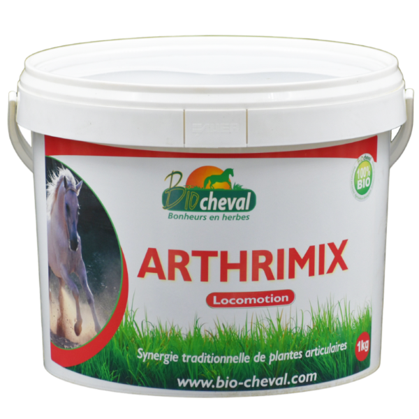 ArthriMix - Bio - Soutien articulaire