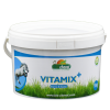 Vitamix, CMV, Nahrungsergänzungsmittel