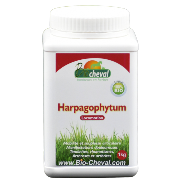 Harpagophytum