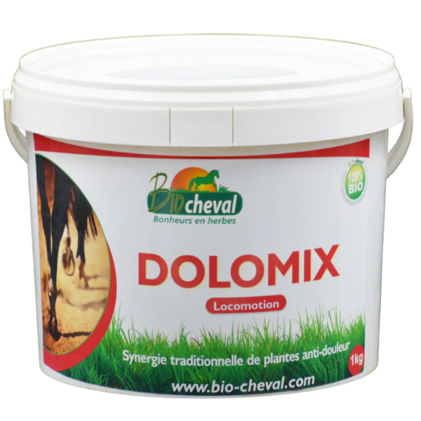 DoloMix 1 kg