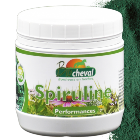Aminosäuren, Mineralien, Spurenelemente, Vitamine.