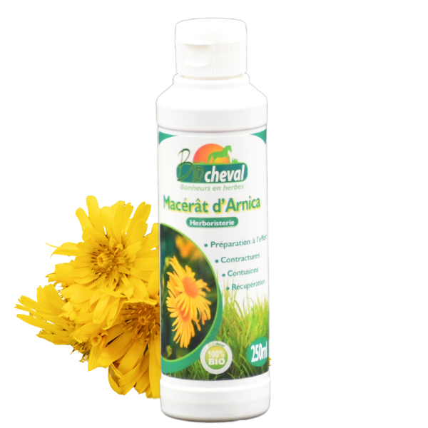 Arnica Macerazione oleosa biologica