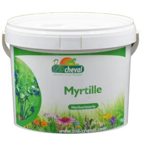 Organic bilberry for horses, donkeys and ponies