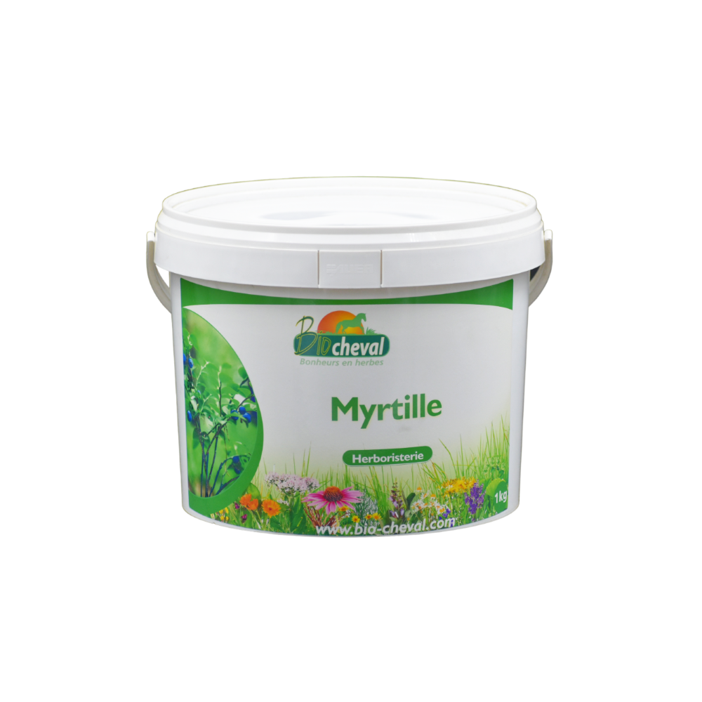 Organiczna borówka dla koni, osłów i kucyków