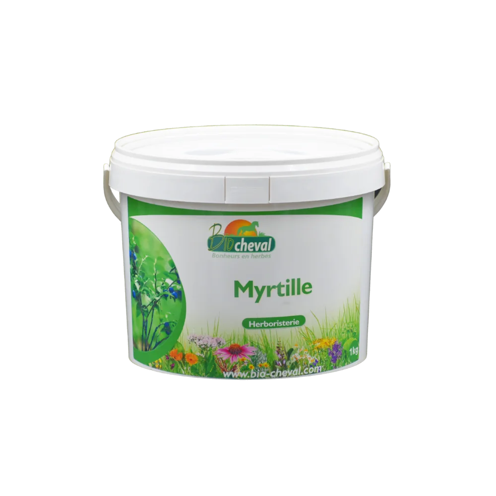 Bio-Heidelbeere für Pferde, Esel und Ponys