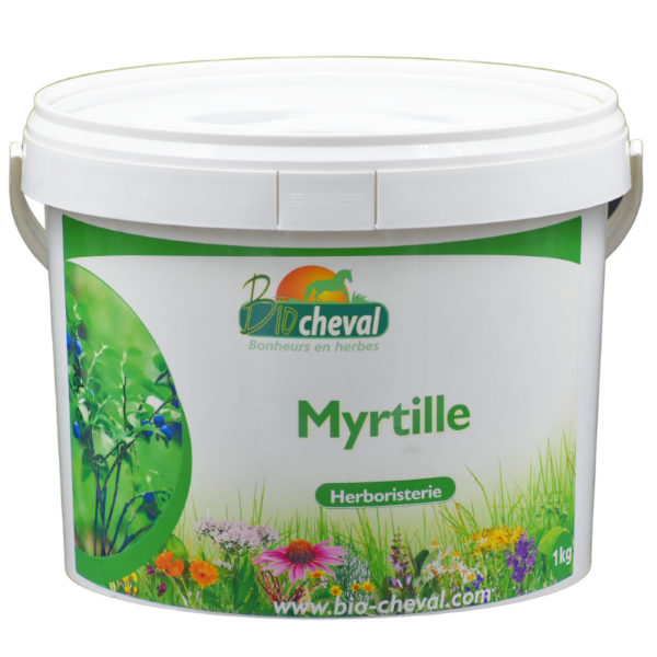 Myrtille bio pour les chevaux, ânes et poneys