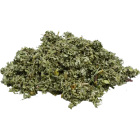 Traditionally used to treat painful uterine contractions