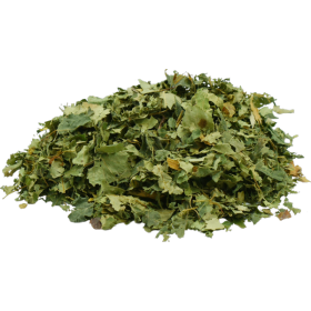 Birch leaves, useful in cases of engorgement