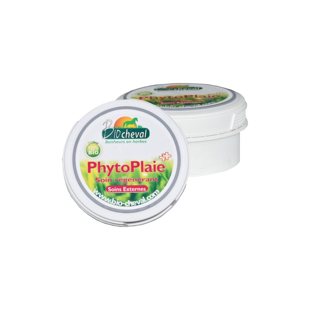 Regenerierender Balsam für kleine Wunden bei Pferden