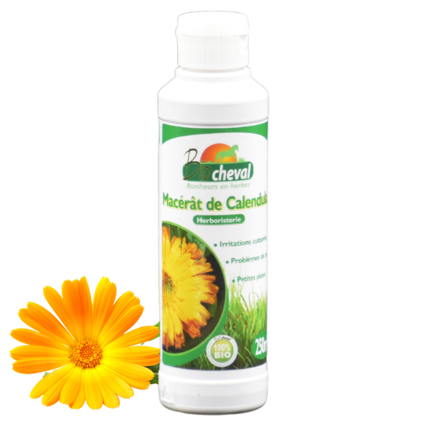 Macerado de caléndula para caballos ecológico 250ml tamaño pequeño cuidado natural de la piel de los caballos