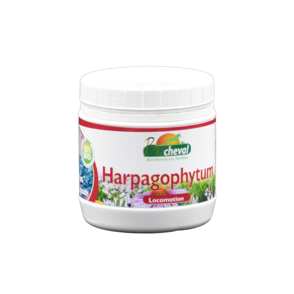 Harpagophytum cheval âne poney Bio pour les douleurs locomotrices telles que l'arthrose