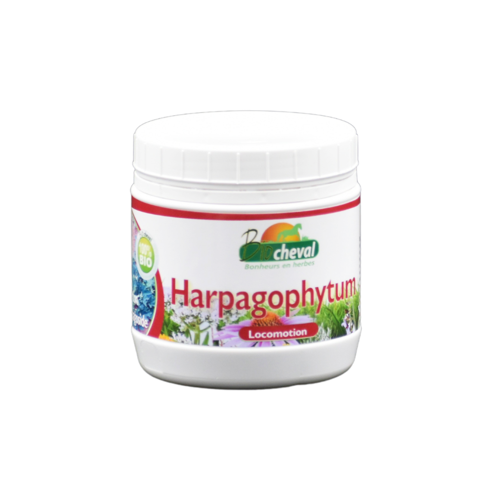 Harpagophytum Pferd Esel Pony Bio für Schmerzen im Bewegungsapparat wie z.B. Arthrose