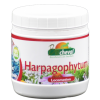 Harpagophytum horse donkey pony Organic for locomotor pain such as osteoarthritis