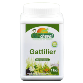 Gattilier 1kg