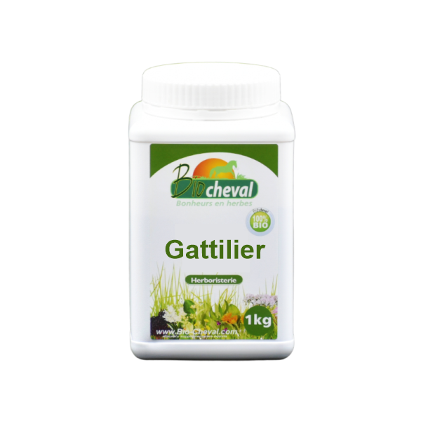 Gattilier 1kg