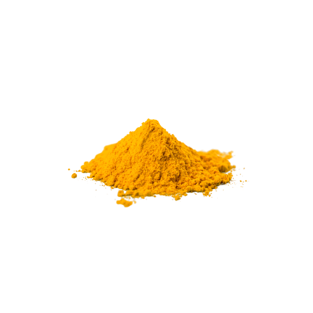 curcuma biologica in polvere