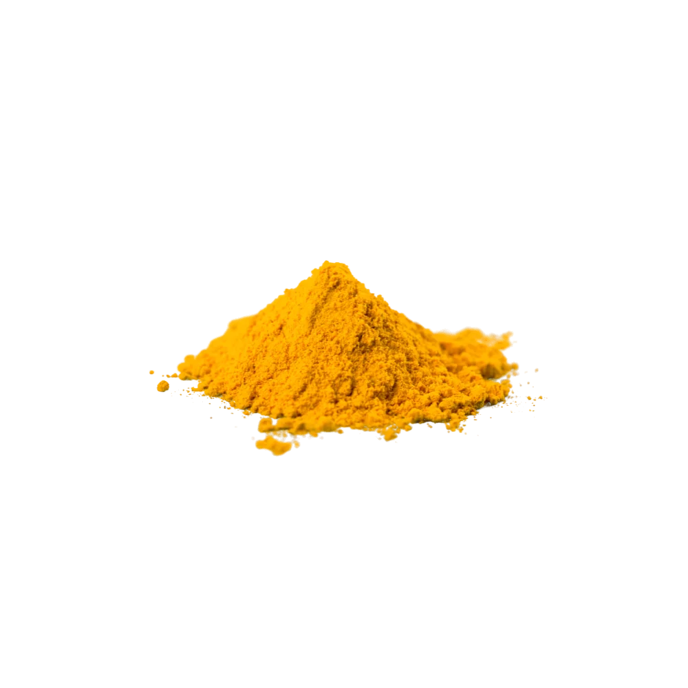 bio-Kurkuma-Pulver