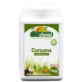 Curcuma | Bio | Forme, digestion et locomotion