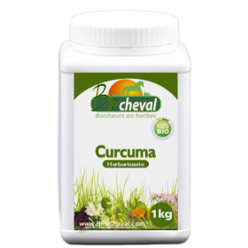 Frasco de 1 kg de curcuma biológica