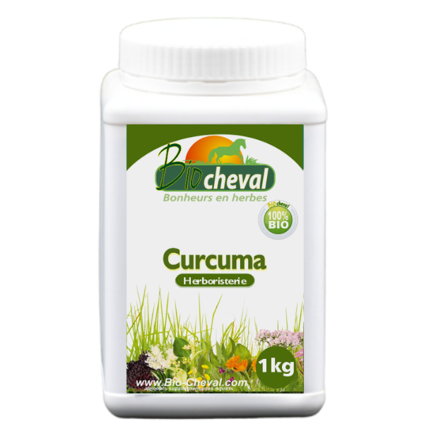 Curcuma | Bio | Forme, digestion et locomotion