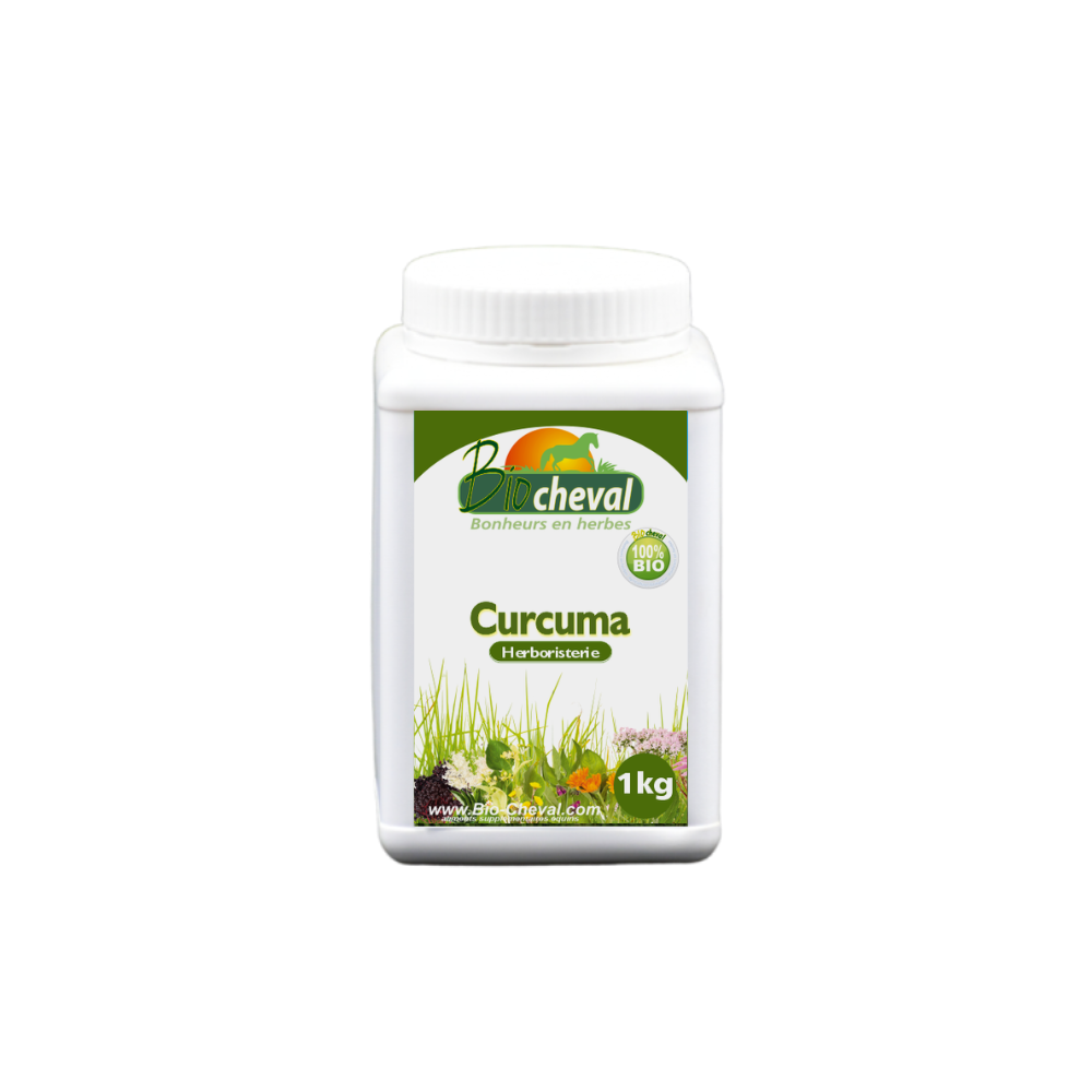 Barattolo da 1 kg di curcuma biologica