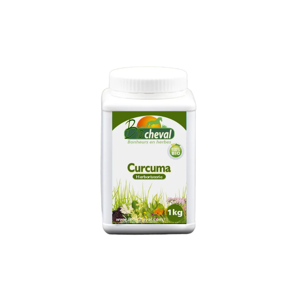 1kg Topf mit Bio-Kurkuma