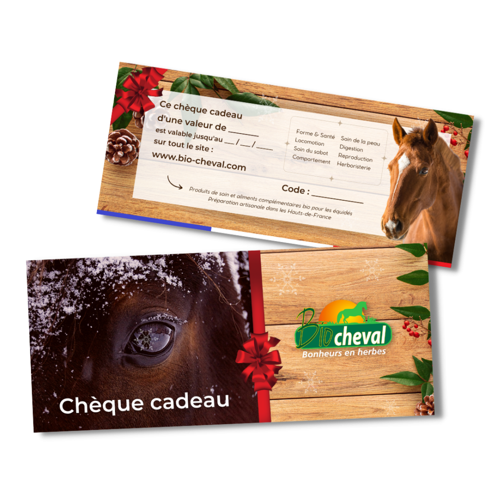 Buono regalo - Qualsiasi importo