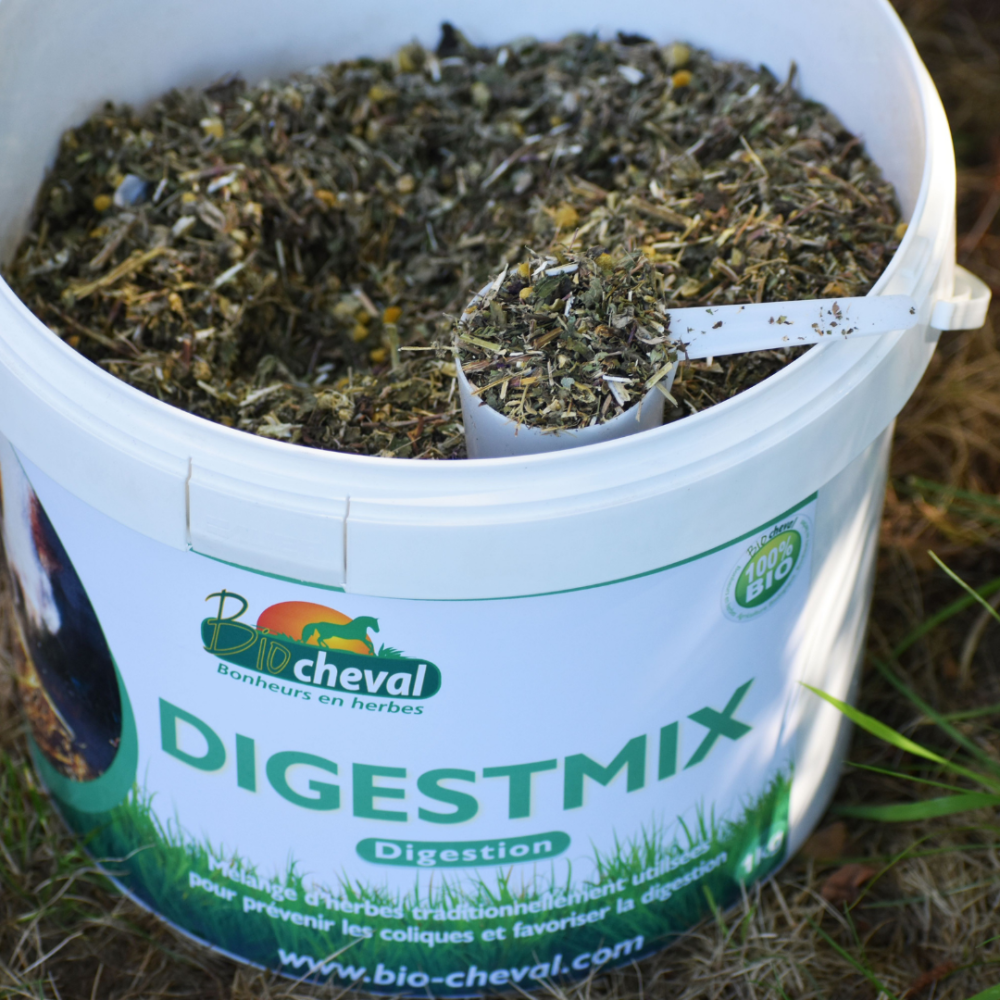 DigestMix - organiczny - tranzyt i trawienie