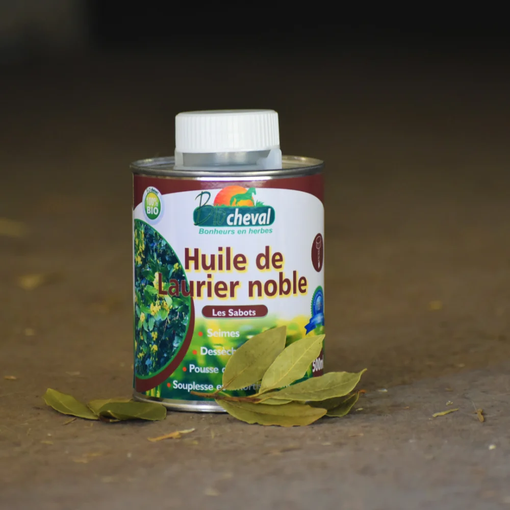 Olio di alloro nobile Crescita e resistenza dello zoccolo