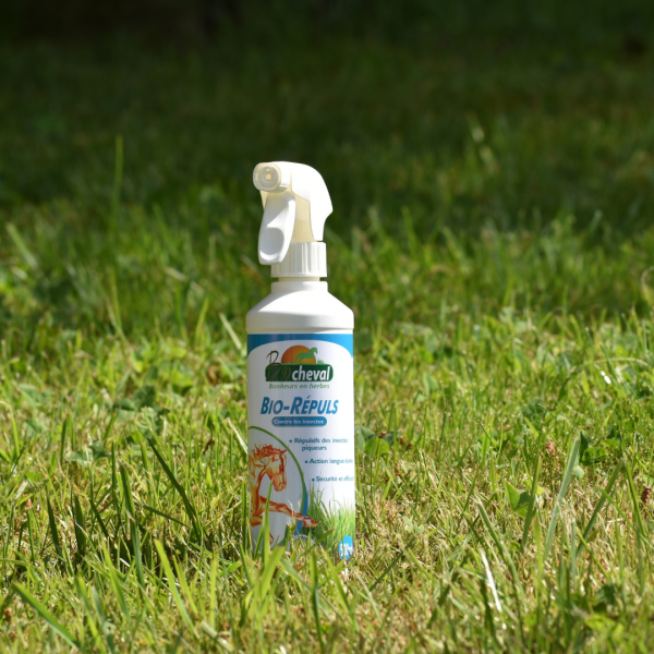 Spray anti insectes naturel