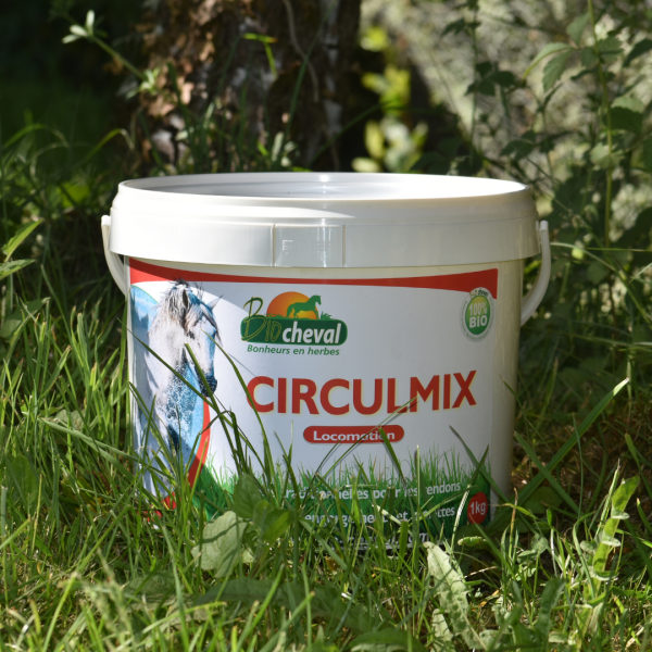 Circulmix pour la circulation sanguine et lymphatique du cheval