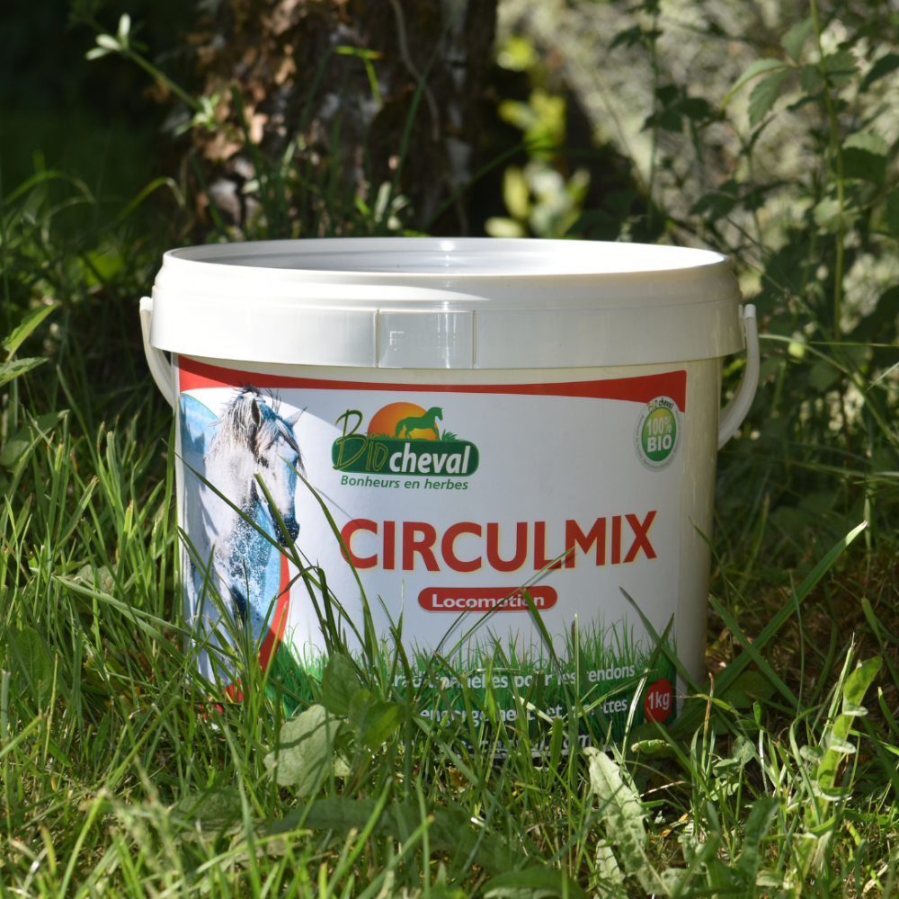 Circulmix for the horse's blood and lymph circulation